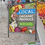 Banner Frames